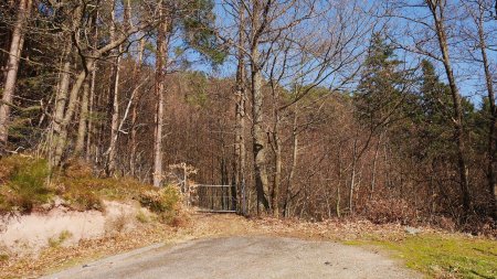 Au bout de la piste viticole, ce portail marque le début d’un sentier forestier.