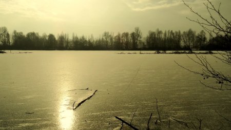 Rayon de Soleil sur la glace.