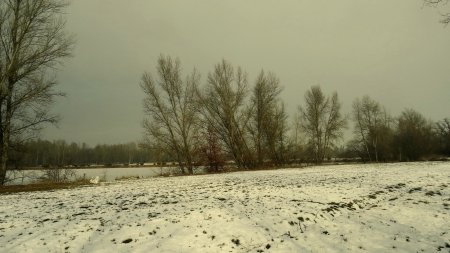 Prairie enneigée et étangs.