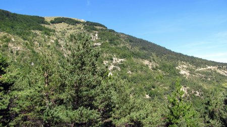 Le versant est de la Montagne de Couspeau.