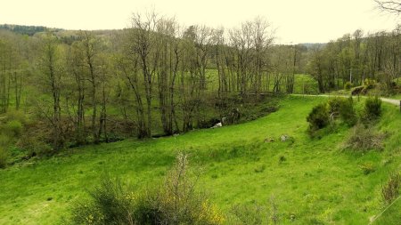 Ruisseau de Chantereine.