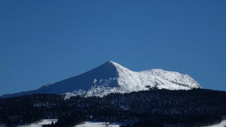 Le mont Mézenc.