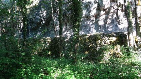 Voie romaine de Rochetaillée : depuis la plaine, ligne horizontale de la voie romaine taillée dans la falaise