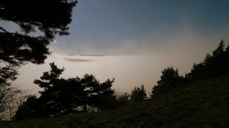 Brouillards dans la vallée de la Gazeille.