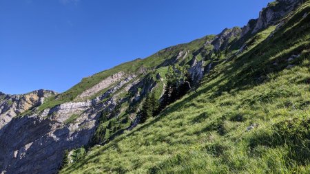Le haut du versant nord-est de Chamousset.