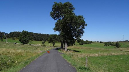 Route du Fraisse.