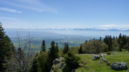 Les Alpes depuis le Châtel