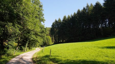 En descente sur l’Oostalweg (westlich).