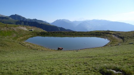 Lac de l’Arpettaz 