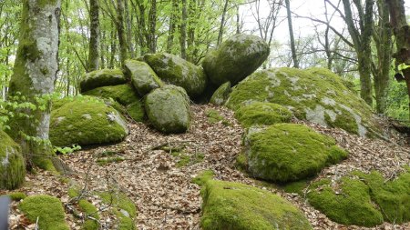 Un des chaos de rochers du massif granitique d’Uchon