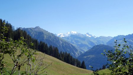 Le col du Pré et sa vue Mont Blanc