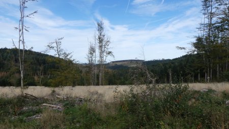 L’exploitation forestière est importante dans le Morvan