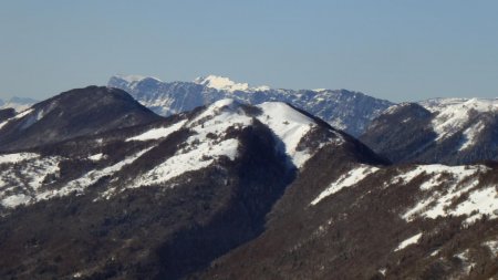Mont Charvet, Mont Morbié, Mont Pelat et Chartreuse