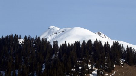 Mont Rosset (ou Dou De Crêcheucha)