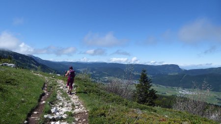 Panorama sur le plateau du Vercors