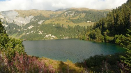 Retour au Lac de Saint Guérin.