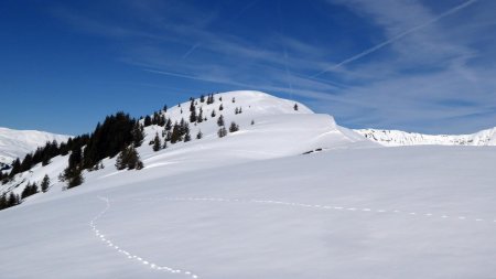 Dôme de la Girotte (pas de traces)