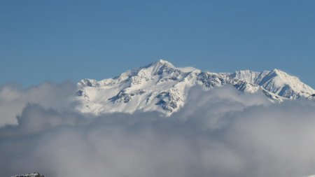 Mont Pourri, Dôme de la Sache