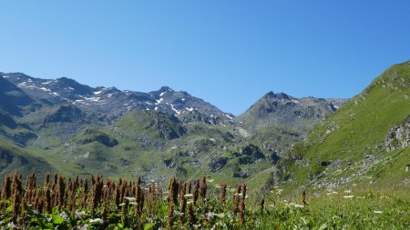 Mont Bréquin et Mont du Chat