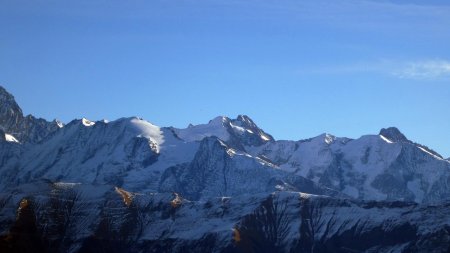 Dômes de Miage, Tré la Tête, Aiguille des Glaciers