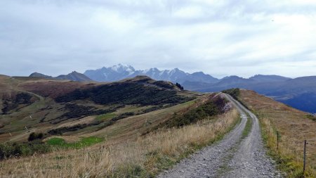 Vers le télésiège de Grattary, vue arrière Mont Clocher et Mont Blanc