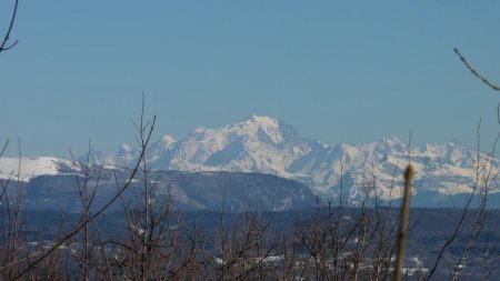Zoom sur le Massif du Mont Blanc depuis le sommet du Crêt de Pont