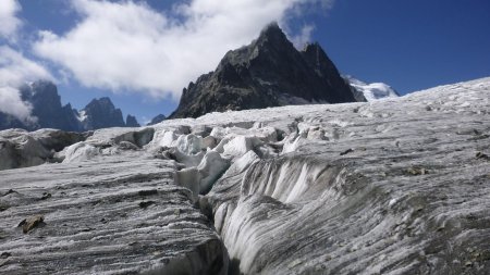 Retour sur le glacier et ses crevasses