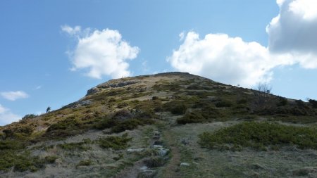 Le sommet de Roche Courbe ou la Pelle