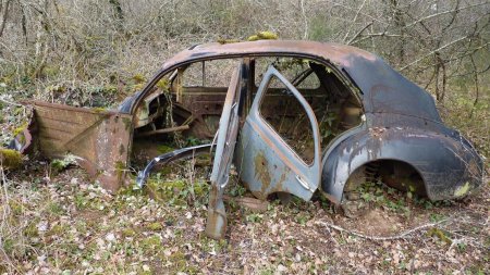 Est-ce bien les restes d’une Peugeot 203 ?