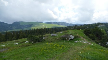 Les hauts plateaux de Chartreuse ; Col de Belles Ombres tout à gauche.