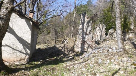 Cabane et ruines du Château