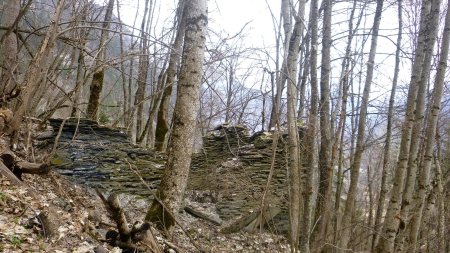 Les ruines d’un ancien hameau dans ces bois