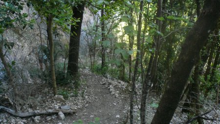 Sentier sous les Rochers du Ranc.