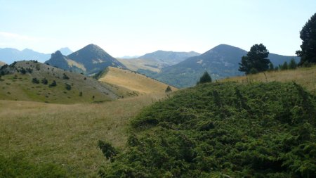 Du Col de la Lauzette. La butte prédédant la Sistreire. Au fond le Mont Barral, la Crête de Jiboui, le Jocou et Montagne de Belle Motte.