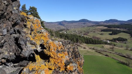 Lichens et massif du Meygal.
