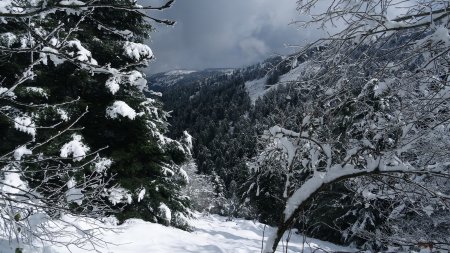 Vallée du Dorlay.