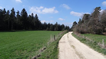 Chemin des Bois de Mazeaux.