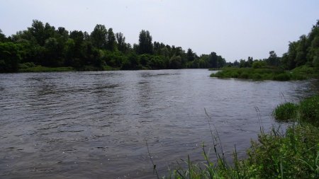 La Loire en rive gauche.