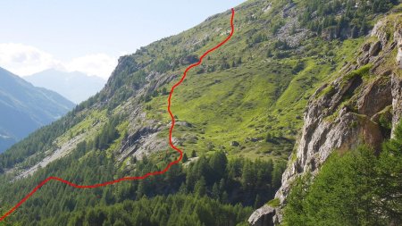 Tracé approximatif (mais beaucoup plus précis que la carte IGN des années 1950 !) du «sentier perdu» sur les Monts. Le sentier continue au-delà de la photo.