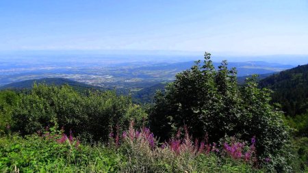 Panorama du col du Gratteau.