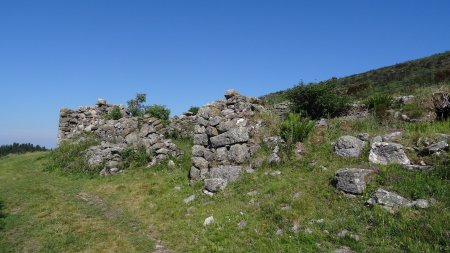 Ruines du Mas des Pergeyres.