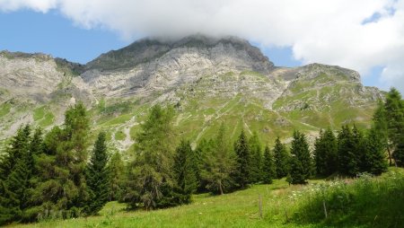 Le Charvin depuis l’Alpage de la Grand-Montagne