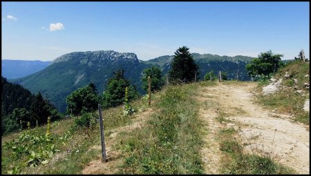 Chemin de descente de l’Alpage du Charmant Som.  Face au Rocher de Chalves et les Rochers du Lorzier.