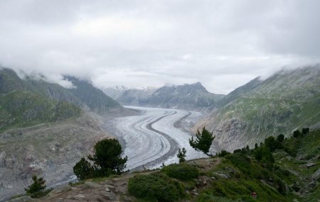 Le glacier d’Aletsch, en montant vers Bettmeralp