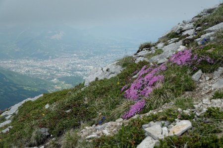Vue plongeante sur Grenoble