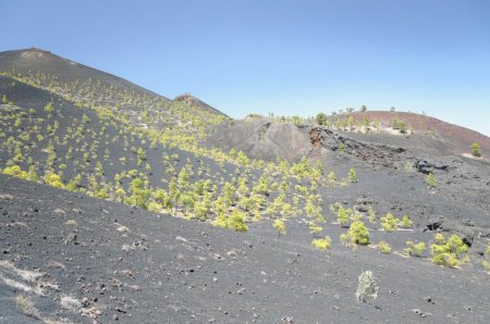 Regard arrière sur le Volcán de Martín
