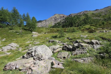 Le vallon de Narreyroux à la montée.