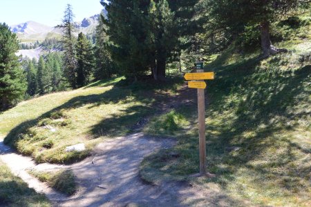 A l’extrémité sud du lac Miroir, en prenant en oblique à droite on trouve un sentier balisé en jaune qui évite grandement les pistes de ski.