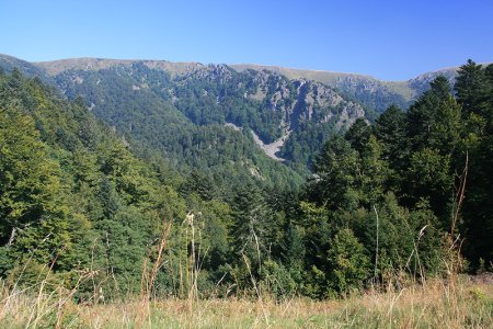 La crête des Vosges vue depuis Kerbholz