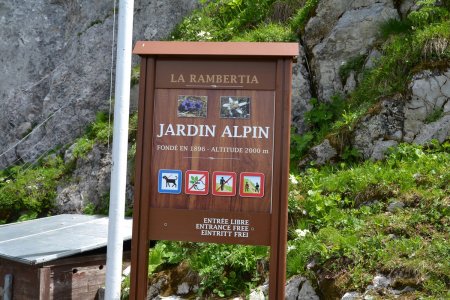 Jardin Alpin de la Rambertia